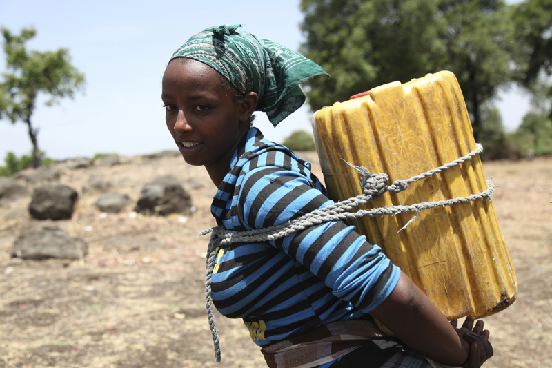 LA VALLÉE DES REINESProjet multimédia